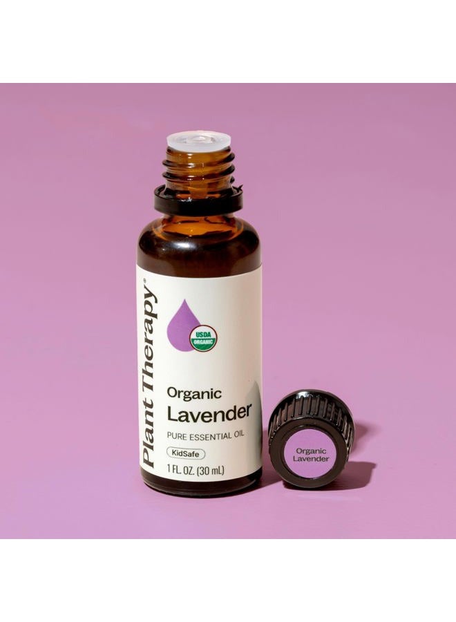 Plant Therapy Organic Lavender Essential Oil 100% Pure, USDA Certified Organic, Undiluted, Natural Aromatherapy for Diffusion & Topical Use, For Skin, Hair, Relaxation, Premium Therapeutic Grade 30 mL - Image 5