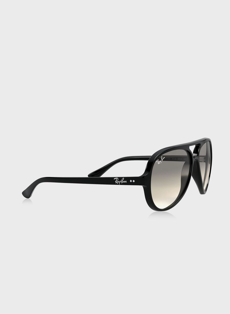 Ray-Ban 0RB4125 Cat Eye Sunglasses  - Image 4