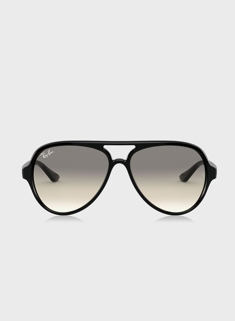 Ray-Ban 0RB4125 Cat Eye Sunglasses  - Image 1