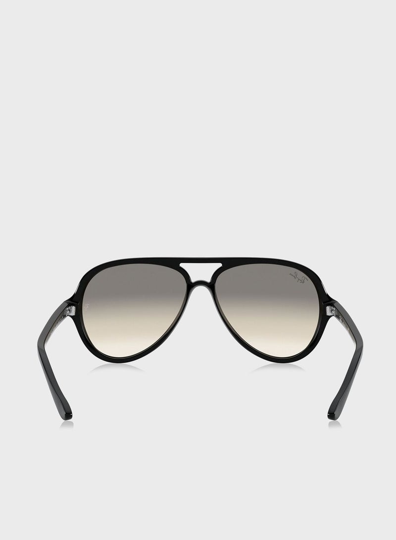 Ray-Ban 0RB4125 Cat Eye Sunglasses  - Image 3
