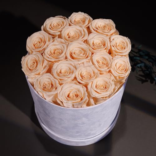 Prifroti 17 Flowers in a Luxury Suede Box, Birthday Gifts for Women, Preserved Flowers, Mothers Day Roses Gift for Mom, Champagne - Image 4