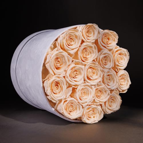 Prifroti 17 Flowers in a Luxury Suede Box, Birthday Gifts for Women, Preserved Flowers, Mothers Day Roses Gift for Mom, Champagne - Image 2