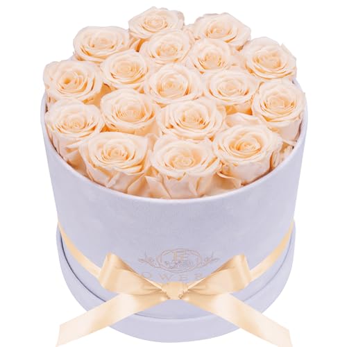 Prifroti 17 Flowers in a Luxury Suede Box, Birthday Gifts for Women, Preserved Flowers, Mothers Day Roses Gift for Mom, Champagne - Image 1