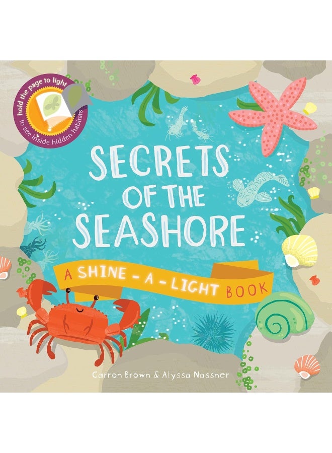 Secrets of the Seashore