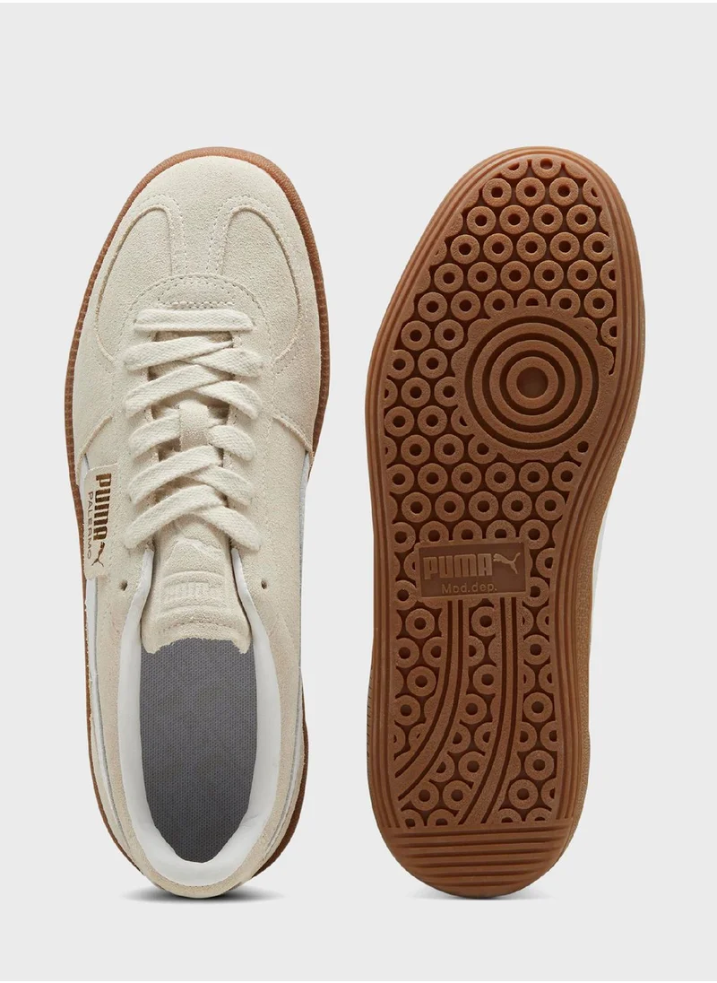 PUMA Palermo