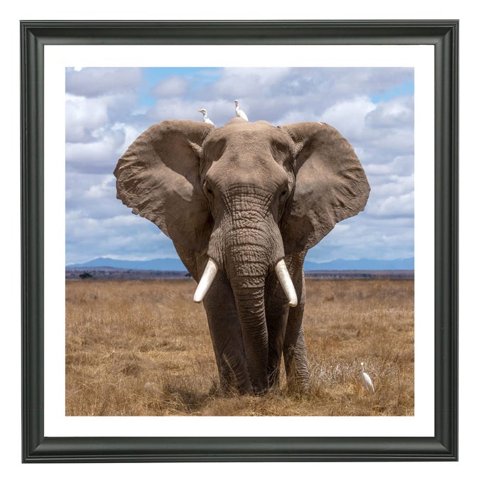 22X22 PICTURE FRAME SOLID WOODDISPLAYS PICTURE 20X20 WITH MAT OR 22X22 INCH WITHOUT MAT POSTER FRAME 22X22 PHOTO FRAMES 20X20 DIAMOND PAINTING FRAME BLACK LMKB2222