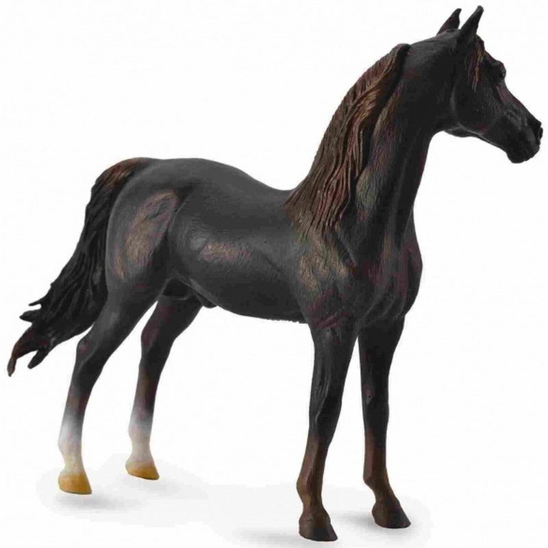 كوليكتا حصان مورجان ستاليون - 88647