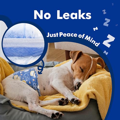 MICOOYO Male Dog Diapers, Disposable Male Dog Wraps with Wetness Indicator, Super Absorbent | Leak Proof Doggie Diapers for Incontinence, Marking, Puppy Training, M,18-25-inch Waist, 20 Counts - Image 5