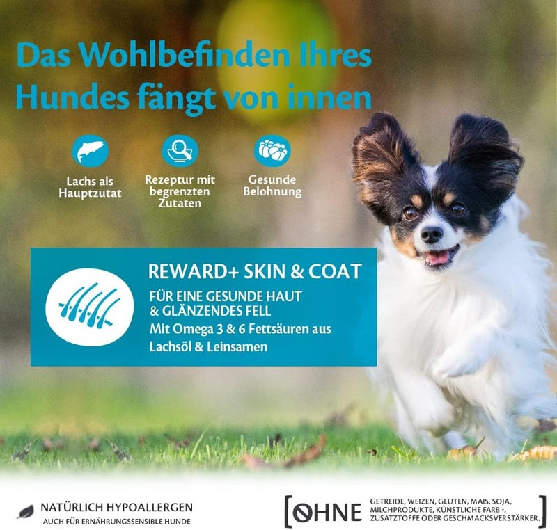 Wellness CORE Daily life matching design Dog Dry Treats Reward+ Skin & Coat Salmon 170g Integrated practical design - Image 3