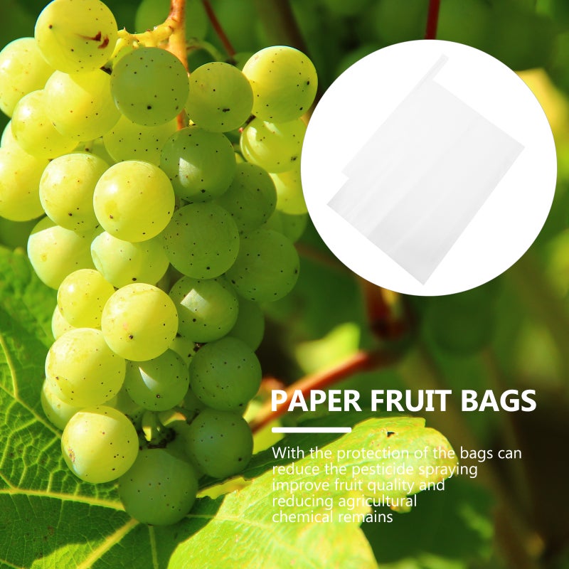 Fruit Protection Bags for Grape, Breathable Cover to Enhance Growth and Quality - Image 5