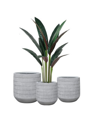 Fiber Plant Pot Set – Modern Design with Multiple Sizes for Artificial and Natural Plants - pzsku/ZC978843416C48A06444EZ/45/1747229958/7f987e75-46f7-47ec-af01-347d34d34fab