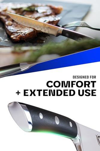 Dalstrong Steak Knife Set - 4-Piece - 5 inch Straight - Gladiator Series Elite - Forged German High-Carbon Steel - Black G10 Handle - Sheaths - Dinner Set - NSF Certified - Image 4