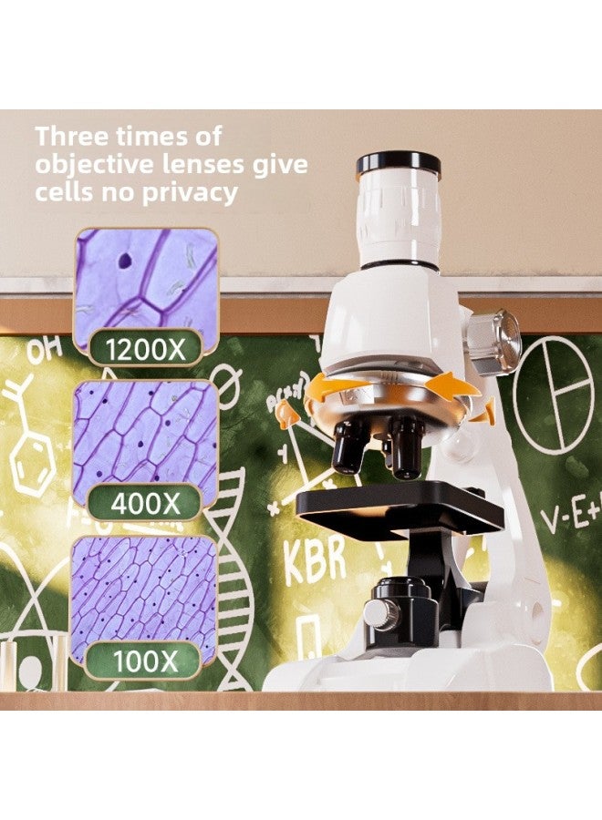 Loquat Junior High School Children Optical Microscope 1200 Times Professional Biological Science Equipment Small Experiment Educational Toys-Specifications:Red - 1200 Times Microscope + 12 Specimens-Color: - Image 4