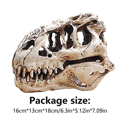KODENG Tyrannosaur Skull T-Rex Skull Gifts Lifelike Resin Crafts Dinosaur Skull Fossil Teaching Skeleton Model Home Aquarium Decor (A) - Image 3