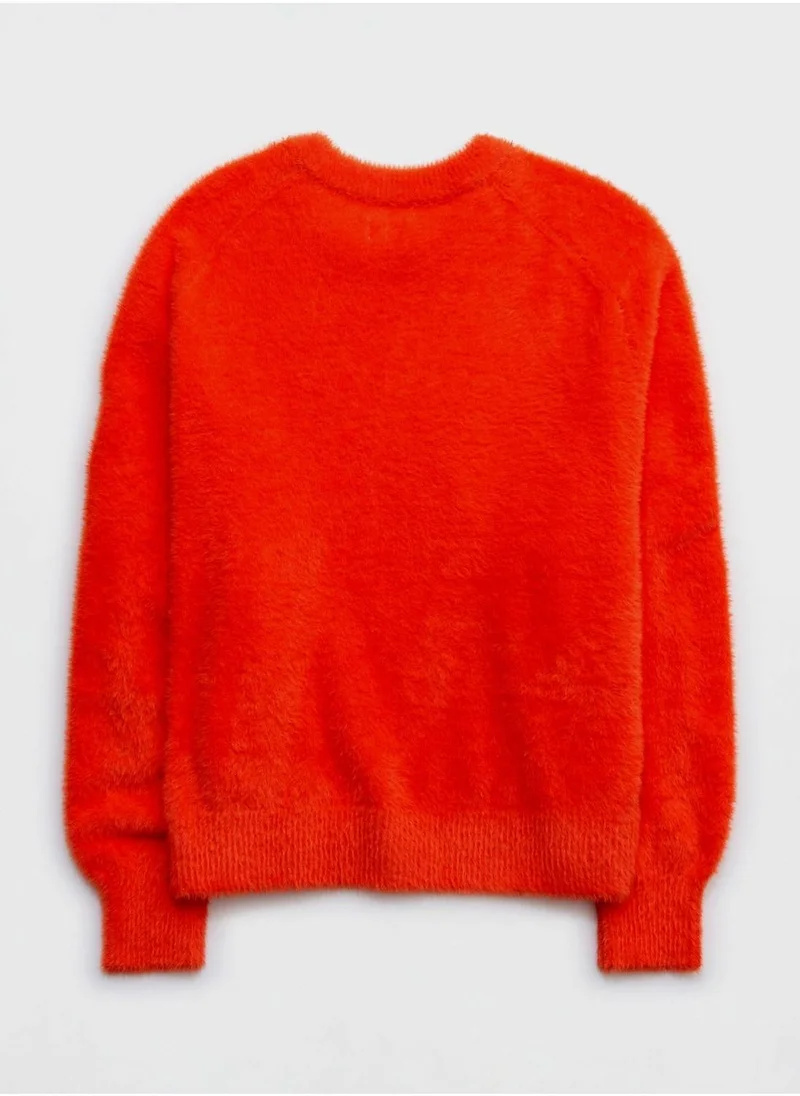 آري من امريكان ايجل Crew Neck Knitted Sweater