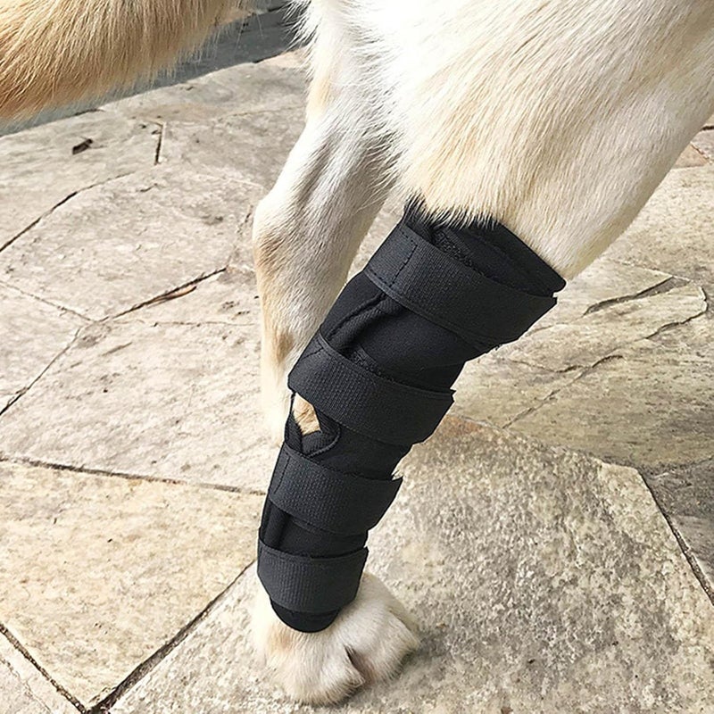 Leg Elbow Brace Protector Dog Support Leg Brace Pet Elbow Knee Pad Sprain Protection Hock Joint Compression Wrap Secure Straps Shock Absorbing, Black, XL - Image 5