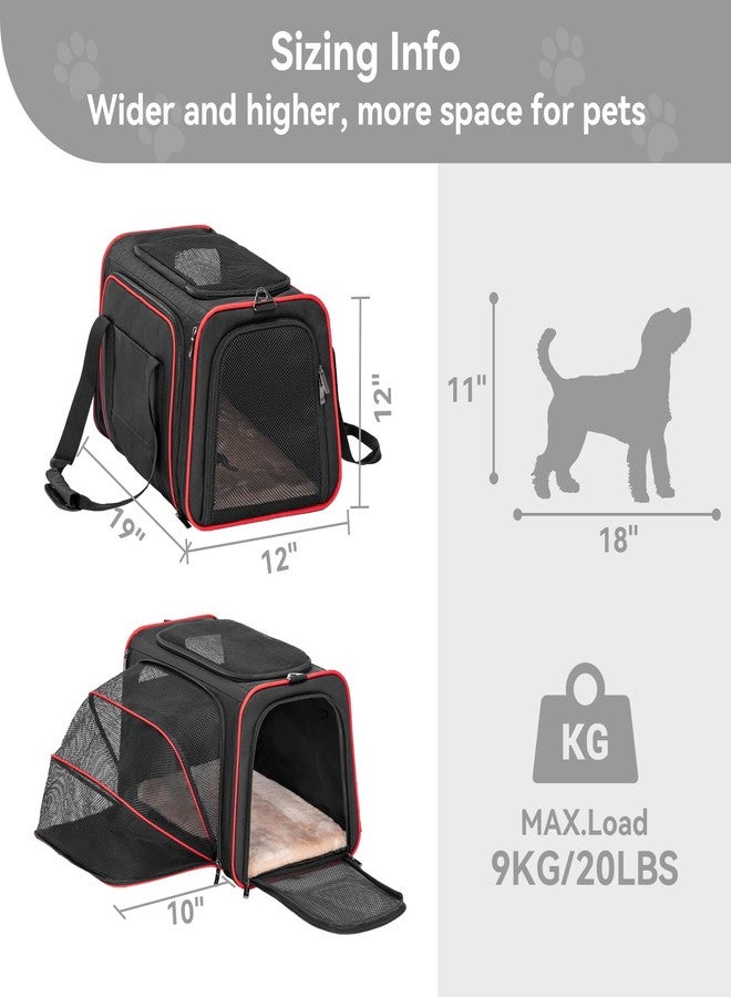 Petsfit Expandable Dog Carrier Large Cat Carrier, Soft-Sided Portable Collapsible Pet Travel Carrier for Kittens, Puppies or Small Animals, 19 x12x12 Inches, Black - Image 2