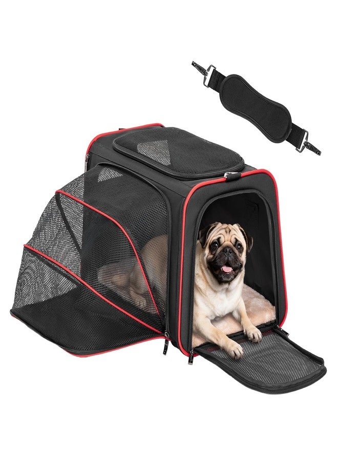 Petsfit Expandable Dog Carrier Large Cat Carrier, Soft-Sided Portable Collapsible Pet Travel Carrier for Kittens, Puppies or Small Animals, 19 x12x12 Inches, Black - Image 1
