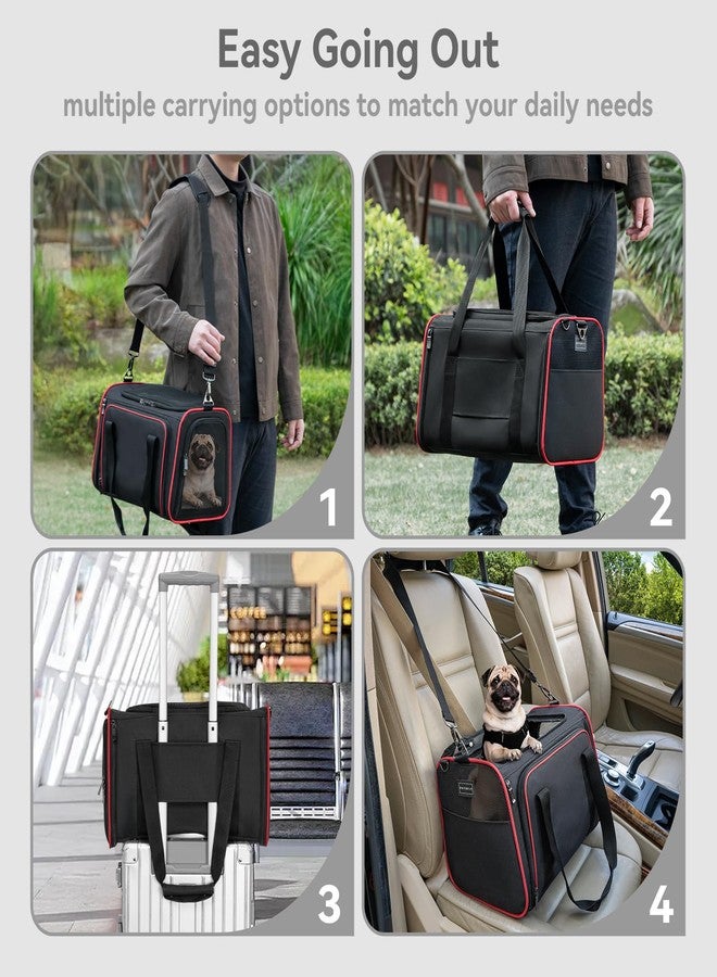 Petsfit Expandable Dog Carrier Large Cat Carrier, Soft-Sided Portable Collapsible Pet Travel Carrier for Kittens, Puppies or Small Animals, 19 x12x12 Inches, Black - Image 3