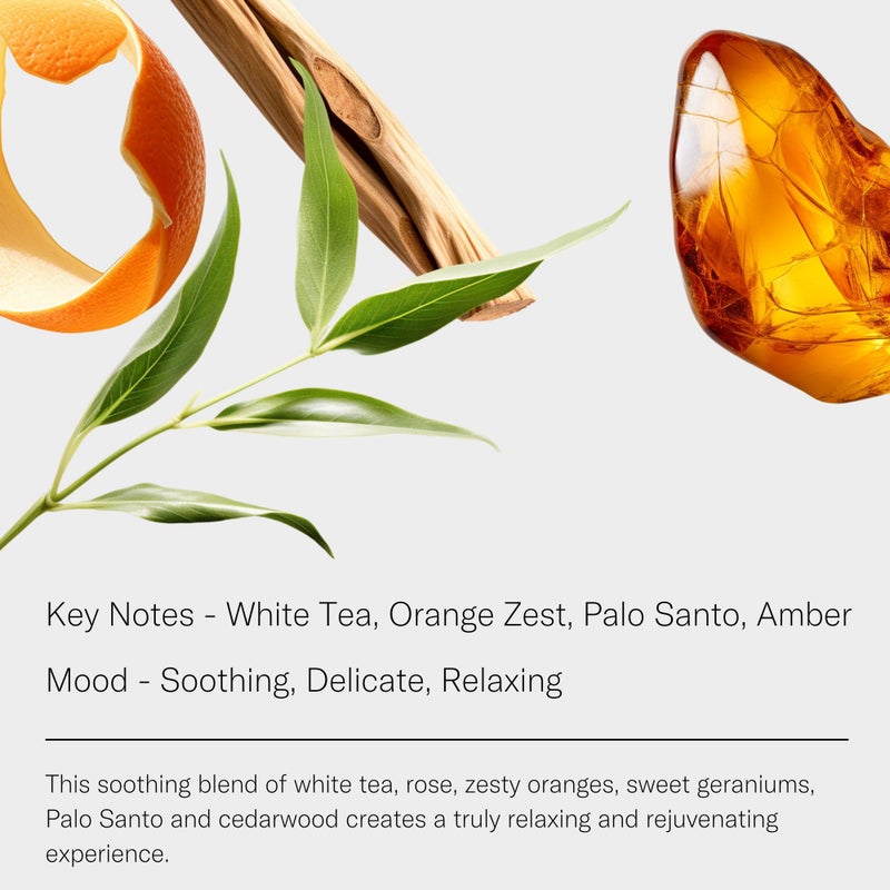 AromaTech White Tea Aroma Essential Oil Blend: Luxury Hotel Inspired Aromatherapy with White Tea, Orange & Palo Santo for Ultrasonic Diffusers & Nebulizers - 16 fl oz, 500 mL - Image 2