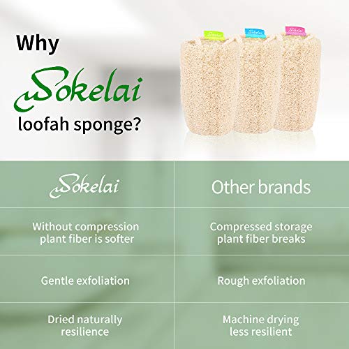 wokelai Natural Loofah Sponge - Exfoliating Body Scrubber for Shower Scrubbing, Organic Luffa Sponges, Egyptian Real Loofa, Bath Shower Puff for Bathing, Spa, Massaging Daily Skin Cleansing Care - Image 4
