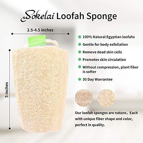 wokelai Natural Loofah Sponge - Exfoliating Body Scrubber for Shower Scrubbing, Organic Luffa Sponges, Egyptian Real Loofa, Bath Shower Puff for Bathing, Spa, Massaging Daily Skin Cleansing Care - Image 3