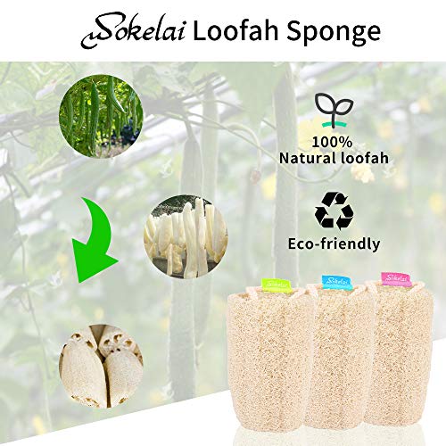 wokelai Natural Loofah Sponge - Exfoliating Body Scrubber for Shower Scrubbing, Organic Luffa Sponges, Egyptian Real Loofa, Bath Shower Puff for Bathing, Spa, Massaging Daily Skin Cleansing Care - Image 2