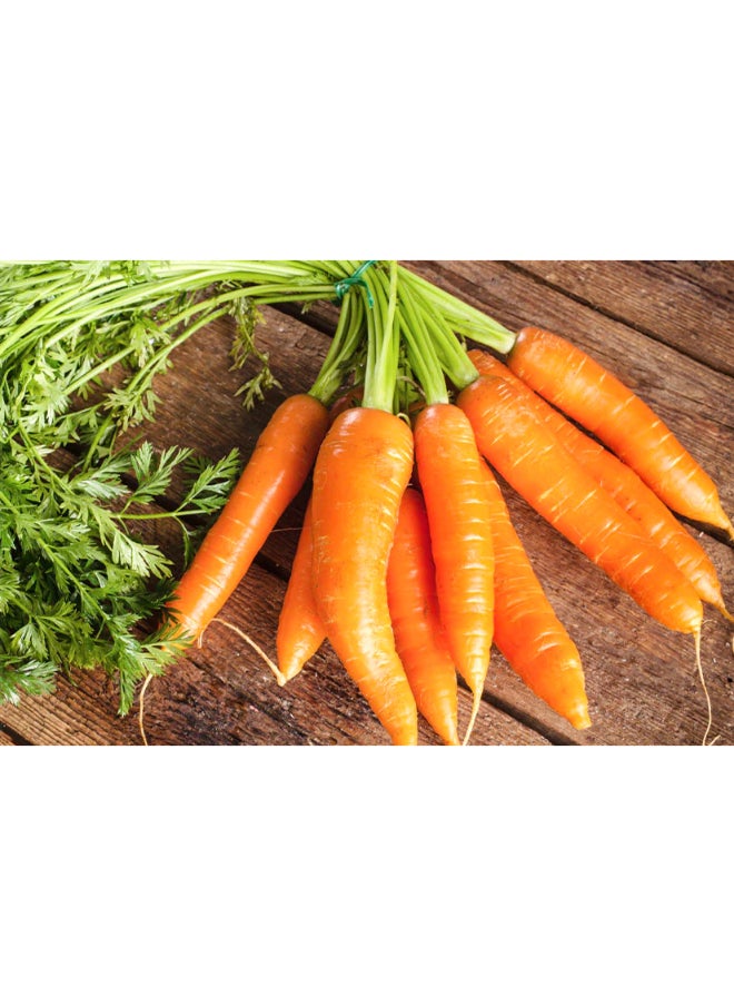 COSMO Cosmo Glow White Brightening Shower Gel 1000ml Carrot Oil & Kojic Acid Healthy Radiance Help Reduce the Appearance of Brown Spots Gently Cleanses  - Image 3