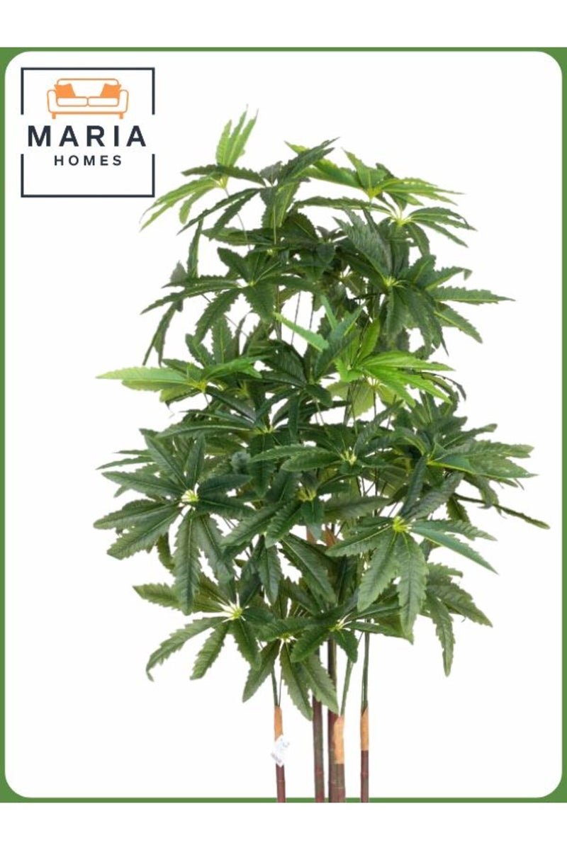 ماريا شجرة أراليا اصطناعية ١٧٥ سم – ٥ فروع في وعاء بلاستيكي رمادي - Image 2