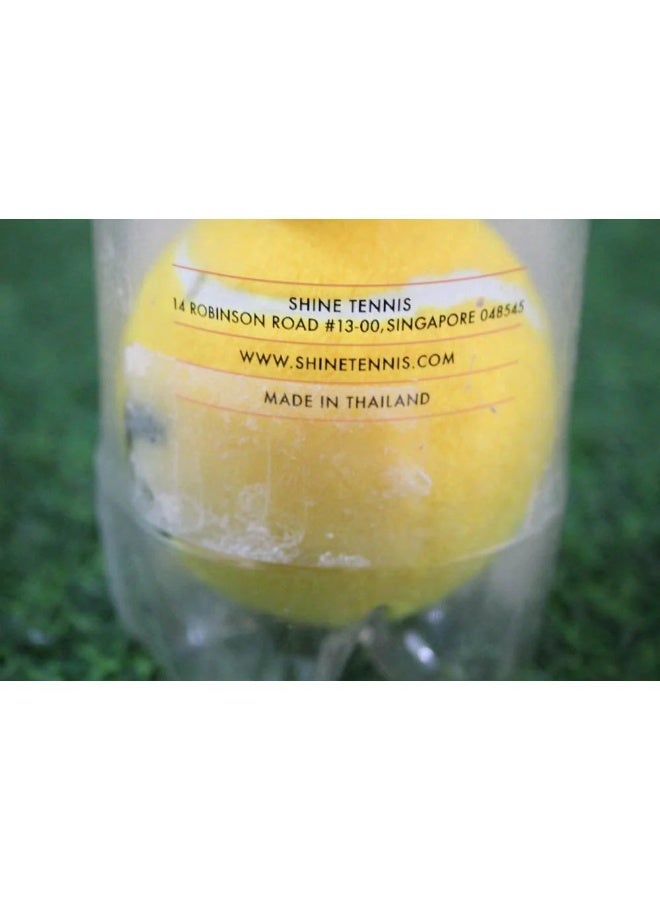 Shine Cricket Ball - Pack of 3 - Image 3