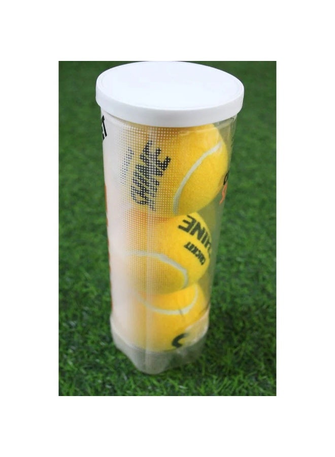 Shine Cricket Ball - Pack of 3 - Image 2