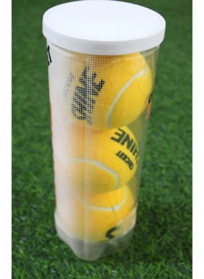 Shine Cricket Ball - Pack of 3 - Image 4