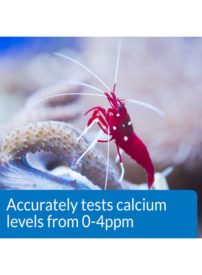 API API CALCIUM TEST KIT Saltwater Aquarium Water 1-Count Test Kit, 69L (69L)  - Image 3