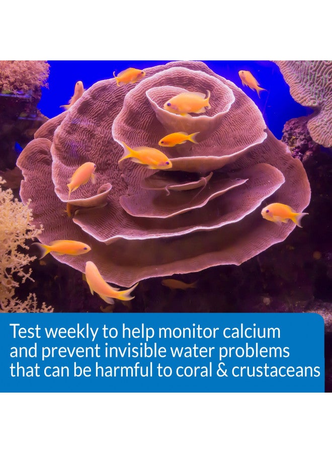 API API CALCIUM TEST KIT Saltwater Aquarium Water 1-Count Test Kit, 69L (69L)  - Image 4