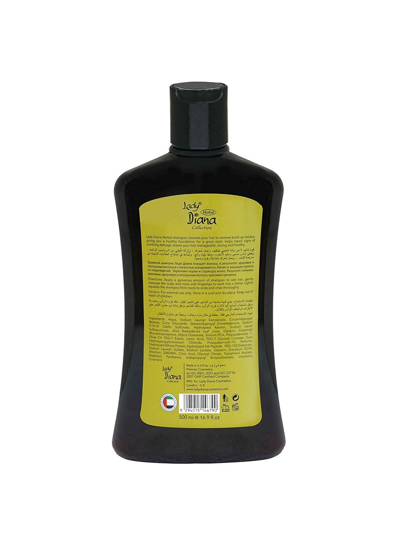 Lady Diana - Lady Diana Keratin Anti-Dandruff Hair Shampoo (500 ml) - Image 1