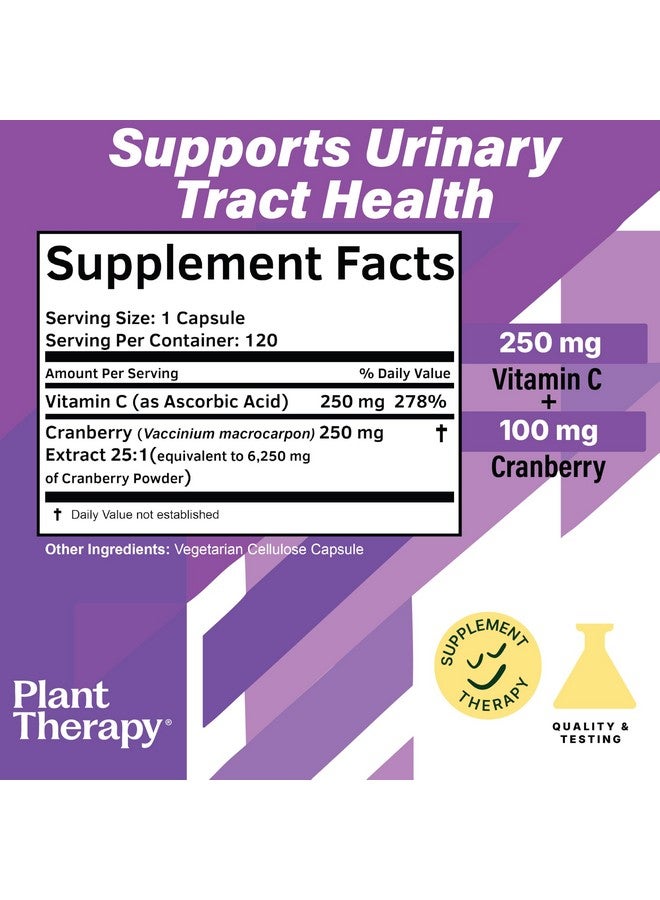 Plant Therapy Cranberry Extract Capsules with Vitamin C Manufactured in USA 4 Month Supply Supports Urinary Tract Health Supplements for Women Herbal 120 Vegetarian Capsule - Image 2