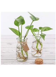 FUFU 20Pcs 100ml Cork Stoppers Glass Bottles Yogurt Pudding Bottle Mini  Jar Small Glass Bottles With Cork Lid for Wedding Favors Wishing Bottles DIY Arts Crafts  - Image 4