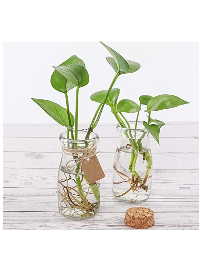 FUFU 20Pcs 100ml Cork Stoppers Glass Bottles Yogurt Pudding Bottle Mini  Jar Small Glass Bottles With Cork Lid for Wedding Favors Wishing Bottles DIY Arts Crafts - Image 4