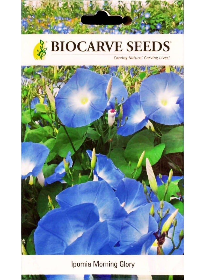 BIOCARVE SEEDS BIOCARVE Morning Glory (Ipomea) Seeds