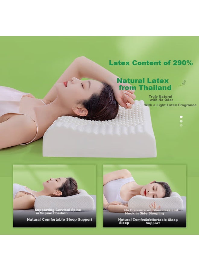 GOLDEN TREE Jinxiangshu Natural Imported Cervical Pillow, Rubber Sleeping Pillow, Natural Latex Pillow, Adult Pillow, Ergonomic Massage Pillow - Image 2