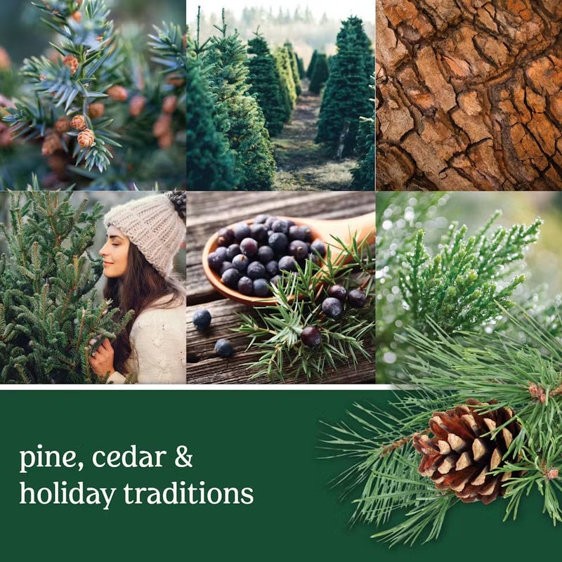 Yankee Candle Gel Car Jar Ultimate Hanging Odor Neutralizing Air Freshener Balsam Cedar Scent - Image 3