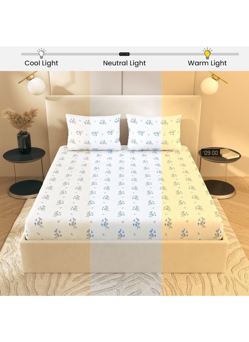 Plumora Plumora 300 TC Cotton Bed Sheet for Double Bed with 2 Pillow Covers Queen Size 90x100 Inches Soft Breathable Bedsheet Premium Cotton Queen Size Bed Sheet Ideal for Modern BedroomsBlue Daisy  - Image 4