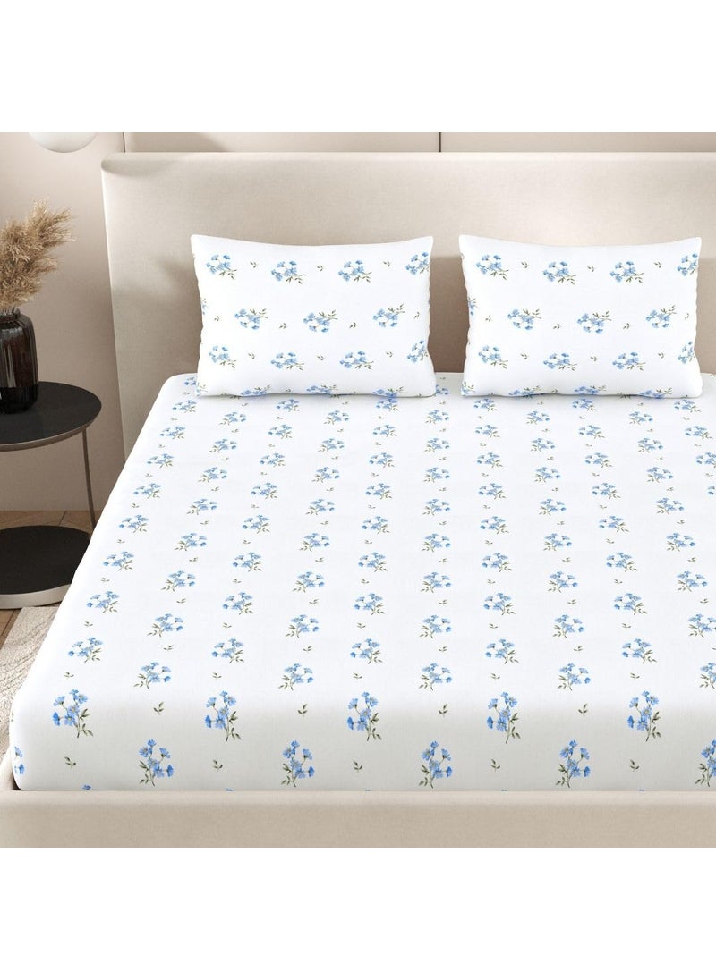 Plumora Plumora 300 TC Cotton Bed Sheet for Double Bed with 2 Pillow Covers Queen Size 90x100 Inches Soft Breathable Bedsheet Premium Cotton Queen Size Bed Sheet Ideal for Modern BedroomsBlue Daisy  - Image 5