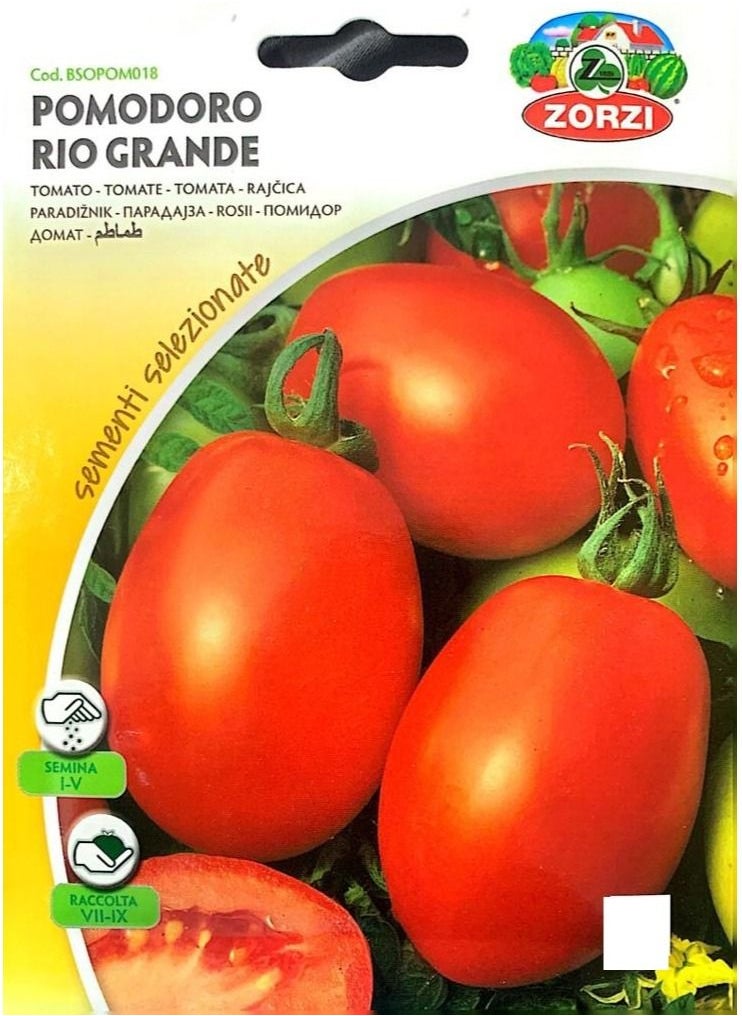 ZORZI - Tomato Pomodoro Rio Grande Seeds - Image 1