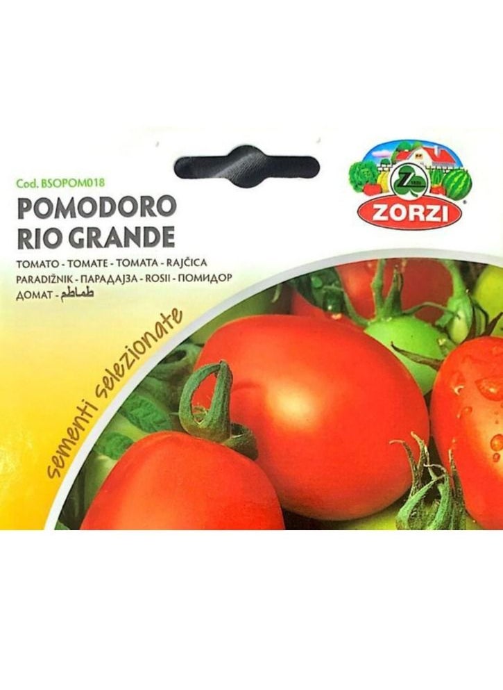 ZORZI - Tomato Pomodoro Rio Grande Seeds - Image 1