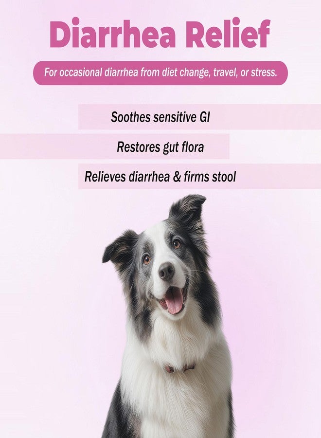 VivaElixir Probiotics for Dogs - Diarrhea Relief for Dogs and Cats - Supports Relief of Diarrhea and Loose Stools - Supports Digestive Balance and Gut Health - with Kaolin Clay and Probiotics - 300 Tablets - Image 2