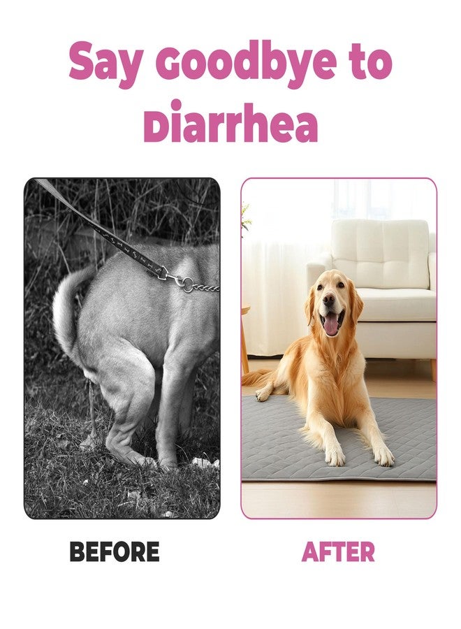 VivaElixir Probiotics for Dogs - Diarrhea Relief for Dogs and Cats - Supports Relief of Diarrhea and Loose Stools - Supports Digestive Balance and Gut Health - with Kaolin Clay and Probiotics - 300 Tablets - Image 4