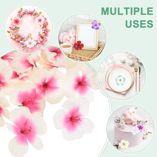 M METERXITY 50-Pack Artificial Orchid Flower Heads, Fake Silk Orchid Flowers Head for DIY Crafts/Dress/Wedding/Party Decoration [Pink+White, 2.2"/ 5.5cm] - Image 5