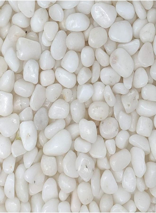 Midwest Hearth - Midwest Hearth Natural Decorative Polished White Pebbles 3/8" Gravel Size (2-lb Bag) - Image 1
