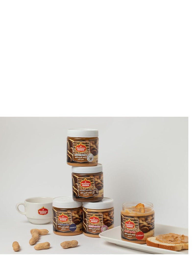 Herbistice - Chocolet peanut butter 300 gram - Image 1